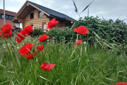 Wohnhaus Naturstammhaus Vadenrod Baujahr 2021 - Schwalmtal