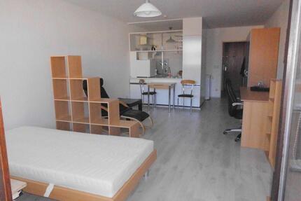 Vollmöblierte großzügige 1-Zi-Wohnung mit Balkon - Bayreuth Bernecker Straße / Insel / Riedelsberg