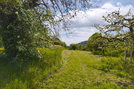Gärten in Malsch und Gaggenau - 100,00&nbsp;EUR Kaltmiete, ca.&nbsp; 0,00&nbsp;m&sup2; in Malsch (PLZ: 76316)