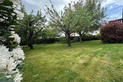 Wohnung zum Mieten in Neu-Anspach 2.100,00 € 165.71 m²