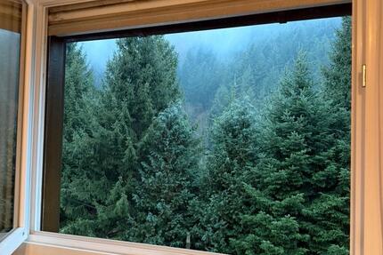 Familienfreundliche 3-Zimmer-Wohnung mit großem Balkon im Grünen - Münstertal/Schwarzwald