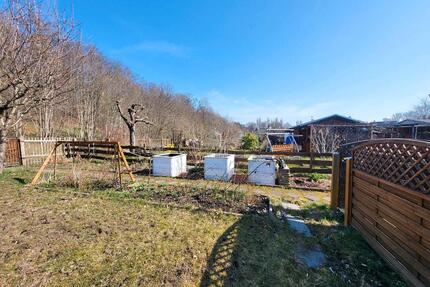 Garten in Chemnitz am Stadtpark ( Kapellenberg) abzugeben