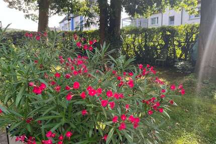 Grundstück zu verkaufen in Hagen 133.000,00 € 500 m²