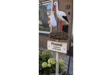Wohnungsmiete - 600,00&nbsp;EUR Kaltmiete, ca.&nbsp; 42,00&nbsp;m&sup2; in Neuwied (PLZ: 56566) Block