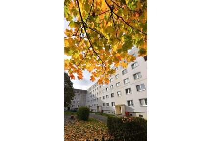 Wohnung mit Ausblick - 348,00&nbsp;EUR Kaltmiete, ca.&nbsp; 57,90&nbsp;m&sup2;&nbsp;Wohnfl&auml;che in Lugau (PLZ: 09385)