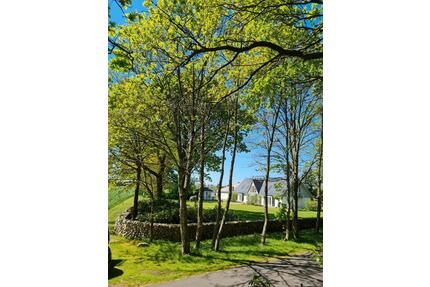 Wohnen und Arbeiten unter einem Dach - Niebüll