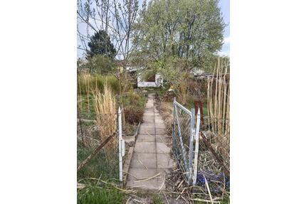 Garten Pacht,Schrebergarten...Garten in HILDESHEIM - Hannover Herrenhausen-Stöcken