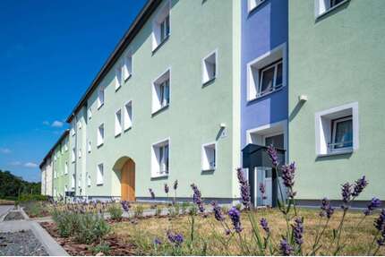 Wohnung zum Mieten in Eberswalde 736,30 € 73.63 m²