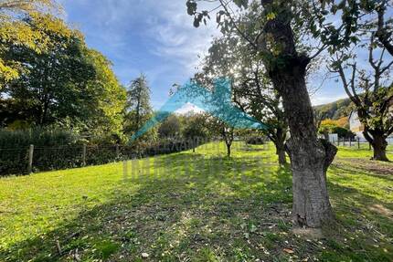 Baugrundstück für 6 Doppelhaushälften mit zwei Vollgeschossen! - Bad Sooden-Allendorf Oberrieden