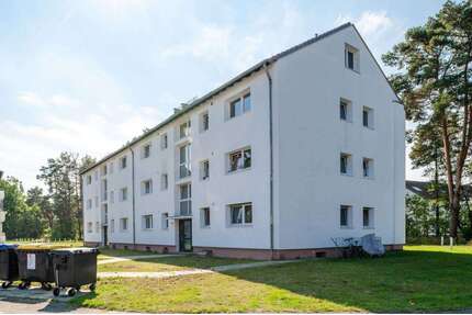 Wohnung zum Mieten in Celle 409,00 € 35 m²