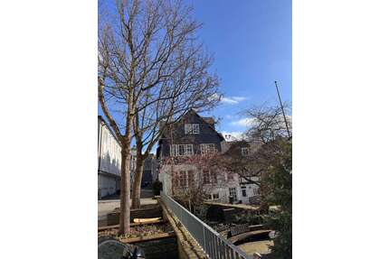 Wohnung zum Kaufen in Siegen 130.000,00 € 43 m²