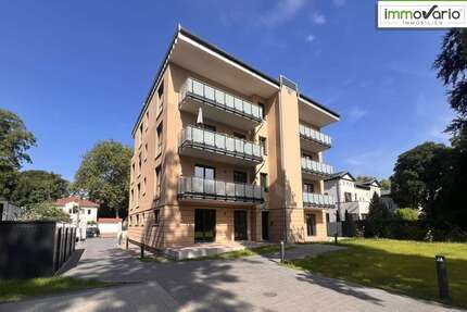 Wohnung zum Mieten in Magdeburg Sudenburg 1.799,00 € 140 m² - Magdeburg / Sudenburg