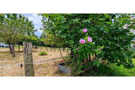 Grundstück zu verkaufen in Rümmingen 249.000,00 € 600 m²