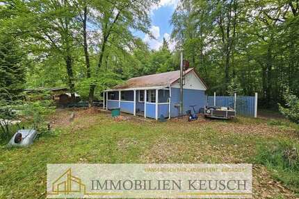 Haus zum Kaufen in Martfeld 48.000,00 € 58.33 m²