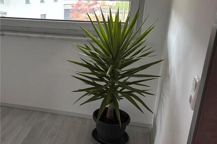 Ab Herbst Doppelhaushälfte inkl. Sauna & Carpot in Waldbrunn (Wü) - Fürth Atzenhof