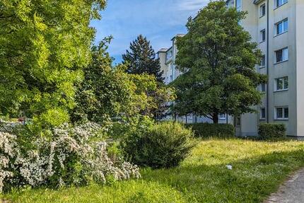 *Ein Zuhause zum Wohlfühlen* - 392,00&nbsp;EUR Kaltmiete, ca.&nbsp; 56,00&nbsp;m&sup2; in Freiberg (PLZ: 09599)