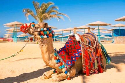 SEE-RESIDENZ Luxuriöse Suiten direkt am Roten Meer in *Hurghada** - München Altstadt-Lehel