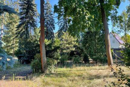 Grundstück zu verkaufen in Brandis 269.000,00 € 902 m²