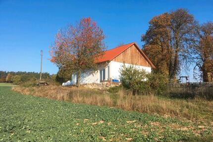 Gartengrundstück mit Scheune zu vermieten. - Regensburg Brandlberg