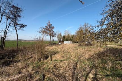 Gartengrundstück in Dolgesheim zu verpachten - 1.200m2 - Mommenheim