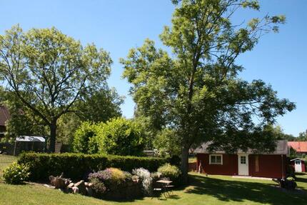 Urlaub Blockhaus Ferienwohnung – Ostsee, Strand, Ferien mit Hund - Rerik