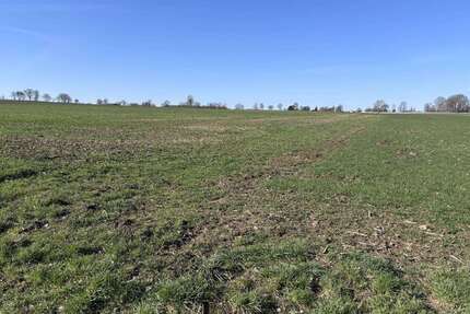 Grundstück in Stadthagen 77.000,00 € 11294 m²