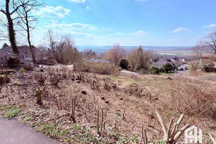 Grundstück zu verkaufen in Niedenstein 215.000,00 € 1432 m²