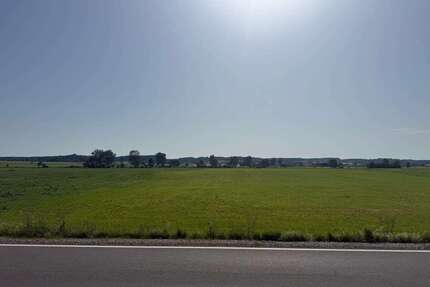 Grundstück in Rammingen 139.950,00 € 16368 m²