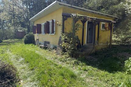 (Ferien-)Haus im Pipi-Langstrumpf-Stil auf großem Naturgrundstück - Rüdesheim am Rhein