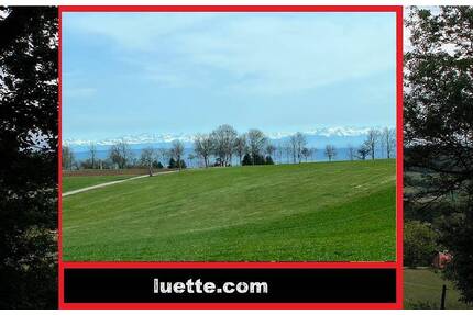 Gut geschnittene, sonnige 2 ½-Zi-ETW im 