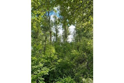 Freizeitgrundstück im Außenbereich zu verkaufen - Weißenborn