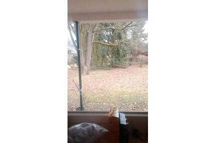 1 Zimmer Wohnung in Glinde - 1.200,00&nbsp;EUR Kaltmiete, ca.&nbsp; 26,00&nbsp;m&sup2; in Glinde (PLZ: 21509)