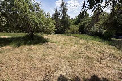 Grundstück zu verkaufen in Eibelstadt 19.990,00 € 1089 m²