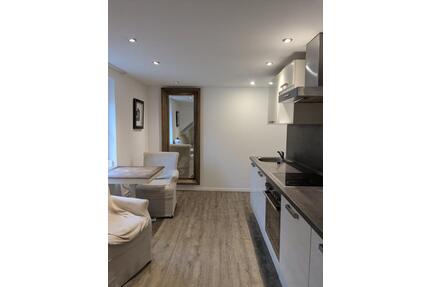 Voll möblierte 1-Zimmer-Wohnung in Frankfurt-Nied – top angebunde - Frankfurt am Main