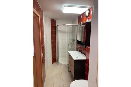 1 Zimmer Wohnung in HN Ost befristet zu vermieten - Heilbronn Kernstadt