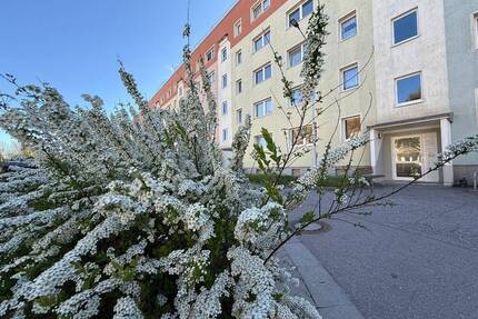 Auf der Suche nach 3 Räume mit Balkon? - Wilkau-Haßlau
