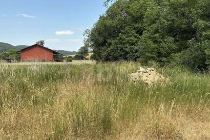 Grundstück zu verkaufen in Haigerloch 290.000,00 € 1312 m²