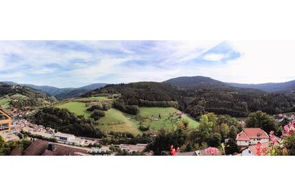 Großes Haus mit 17 1 Zi Apartments, Wohnungen, Schwimmbad - Bad Peterstal-Griesbach