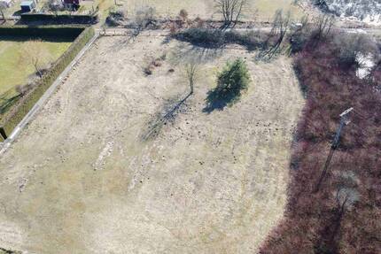 Schönes Grundstück mit viel Potenzial in vorteilhafter Lage in Sanitz