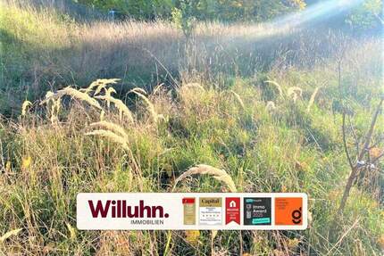 Ruhige Siedlungslage: Über 1.500 m² mit zusätzlichem Erweiterungspotential - Schönwölkau Hohenroda