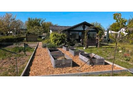 Kleingarten Parzelle absofort abzugeben - Braunschweig Östliches Ringgebiet