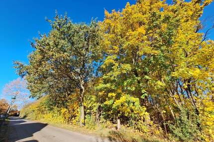 Noch eine freie Bauparzelle am Ortsrand von Pfaffendorf! - Rietz-Neuendorf / Pfaffendorf
