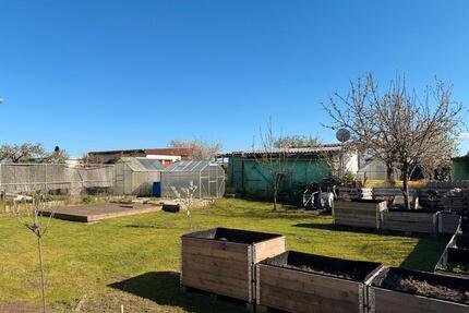 Schöner Garten mit viel Potenzial ! Zuschlagen lohnt sich - Elmenhorst/Lichtenhagen