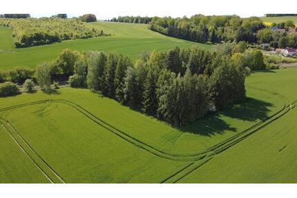 Bungalow in Alleinlage auf 3000qm Grundstück Nähe BautzenGörlitz - Kottmar
