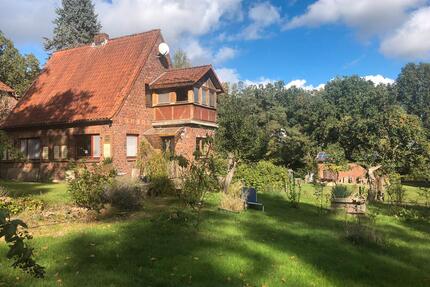 Zimmer in Wohngemeinschaft im Grünen - Wendland - Göhrde