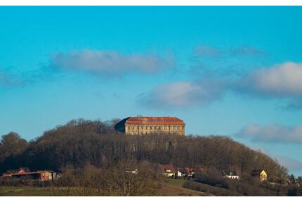 ❤️ Urlaub mit Hunden im wunderschönen Mittelfranken ❤️ - Schillingsfürst
