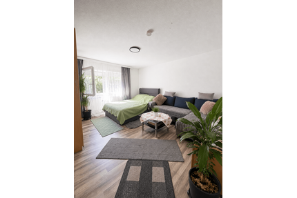 Wohnung zum Kaufen in Karlsruhe 125.000,00 € 33.48 m²