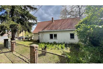 Haus zum Kaufen in Plötzkau 36.500,00 € 90 m²