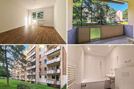 Wohnung zum Mieten in Freiberg 345,00 € 56.6 m²