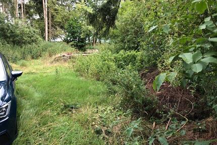 Freizeit Grundstück Wiese - 40,00&nbsp;EUR Kaltmiete, ca.&nbsp; 0,00&nbsp;m&sup2; in Extertal (PLZ: 32699)